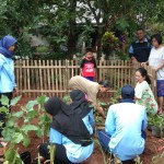 Bangun Taman Toga sebagai Alternatif Penunjang Kesehatan Warga