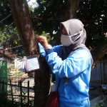 Pelabelan Nama Ilmiah Pada Tanaman, Usaha Edukatif Mahasiswa KKN kepada Masyarakat